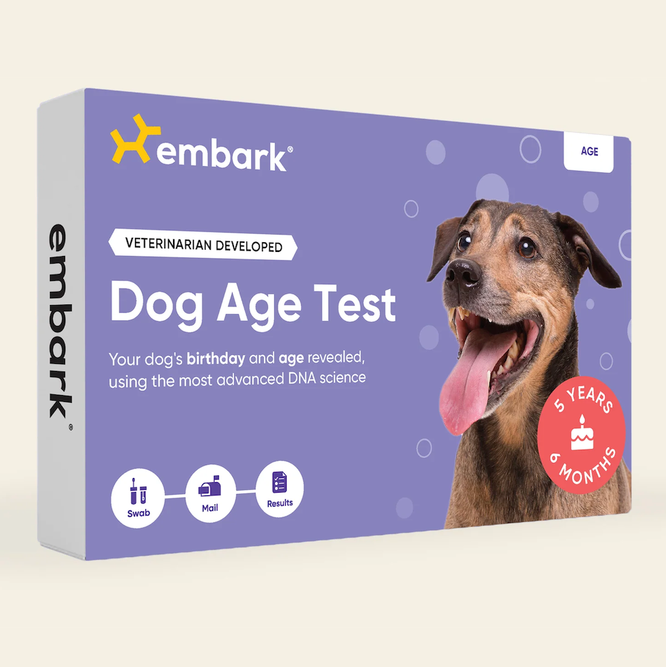 Embark store test dog